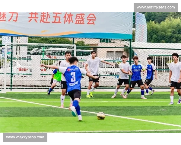 绿茵场的全民欢歌：草根足球的盛会与文化诗行